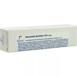 HAMAMELIS DESTILLATA 10% ointment, 25 g