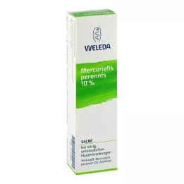 MERCURIALIS PERENNIS 10% ointment, 25 g