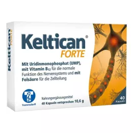 KELTICAN forte capsules, 40 pcs