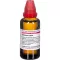 ECHINACEA HAB External, 50 ml