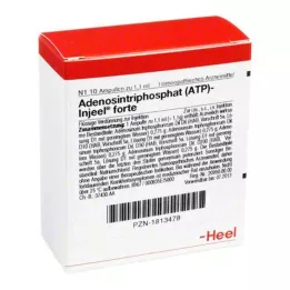 ATP Injeel forte ampoules, 10 pcs