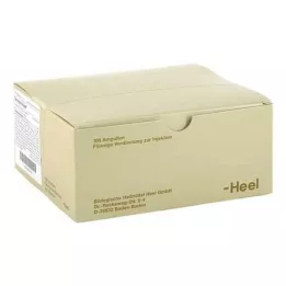 SEROTONIN Injeel ampoules, 100 pcs