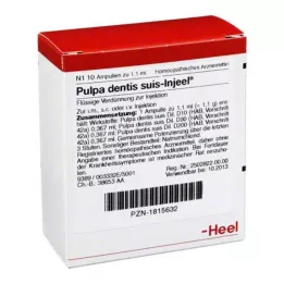 PULPA DENTIS SUIS Injeel ampoules, 10 pcs