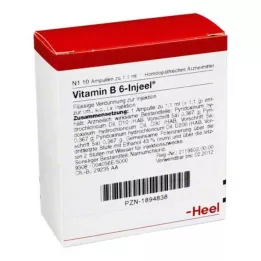 VITAMIN B6 INJEEL ampoules, 10 pcs