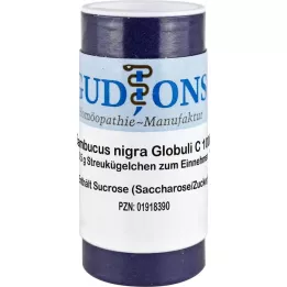 SAMBUCUS NIGRA C 1000 single dose globules, 0.5 g