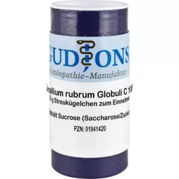 CORALLIUM RUBRUM C 1000 single dose globules, 0.5 g