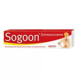 SOGOON Pain cream, 100 g