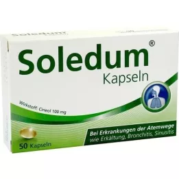 SOLEDUM 100 mg of gastric -resistant capsules, 50 pcs