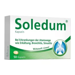 SOLEDUM 100 mg gastro-resistant capsules, 50 pcs