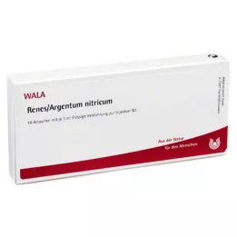 RENES/ARGENTUM nitricum ampoules, 10X1 ml