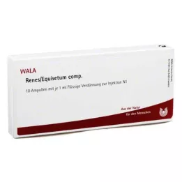 RENES/EQUISETUM comp. ampoules, 10X1 ml
