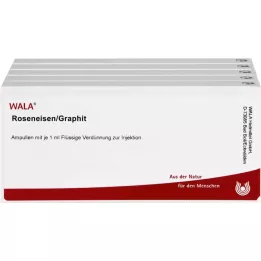 ROSENEISEN/Graphite ampoules, 50X1 ml