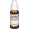 ARUM TRIPHYLLUM D 3 Dilution, 20mL