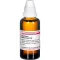 CAUSTICUM HAHNEMANNI D 4 Dilution, 50mL