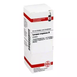LYCOPUS VIRGINICUS Mother tincture, 20 ml