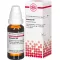 AESCULUS D 6 Dilution, 20 ml