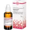 MYRTILLOCACTUS D 1 Dilution, 50mL