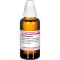 MYRTILLOCACTUS D 1 Dilution, 50mL