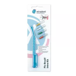 MIRADENT Interd.Pic-Brush Intro Kit 1H+4B.blue, 1 pcs