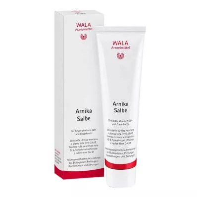 ARNIKA OINTMENT, 100 g ARNIKA OINTMENT, 100 g