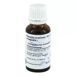 PULSATILLA D 6 Dilution, 20mL