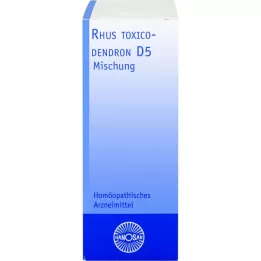 RHUS TOXICODENDRON D 5 Dilution, 20mL