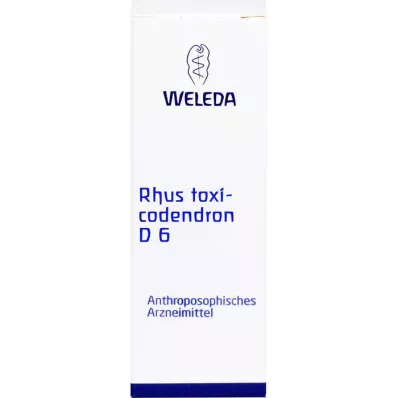 RHUS TOXICODENDRON D 6 Dilution, 50mL