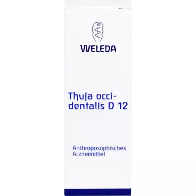 THUJA OCCIDENTALIS D12 Dilution, 20mL