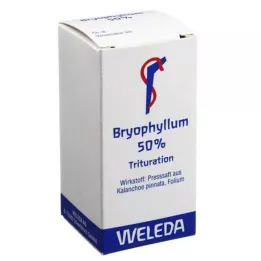 BRYOPHYLLUM 50% powder for oral use, 20 g