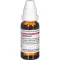 BAPTISIA D 2 Dilution, 20 ml