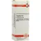COCCULUS D 8 Dilution, 20mL