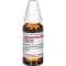 DIOSCOREA VILLOSA D 2 Dilution, 20mL