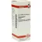 DULCAMARA Mother tincture, 20 ml