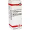 FRAXINUS AMERICANA D 3 Dilution, 20mL