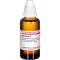 HAMAMELIS D 1 Dilution, 50mL