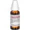 LATRODECTUS mactans D 8 Dilution, 20 ml