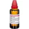 LEDUM EXTERN Tincture, 50 ml