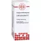 LUFFA OPERCULATA D 5 Dilution, 20mL