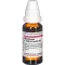 MANDRAGORA E radice siccata D 6 Dilution, 20 ml