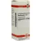 MYRTILLOCACTUS D 4 Dilution, 20 ml