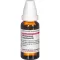 PHELLANDRIUM AQUATICUM D 3 Dilution, 20mL