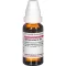 SPIRAEA ULMARIA D 4 Dilution, 20mL