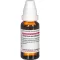TEUCRIUM SCORODONIA D 3 Dilution, 20mL