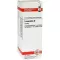 TORMENTILLA Mother tincture, 20 ml