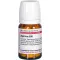 AGARICUS D 30 tablets, 80 pcs