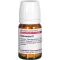HAMAMELIS D 1 tablets, 80 pcs