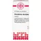 PHOSPHORUS AMORPHUS D 8 tablets, 80 pcs