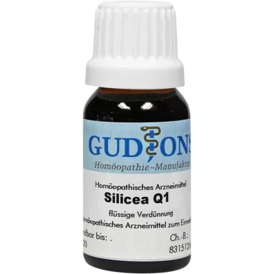 SILICEA Q 1 solution, 15 ml SILICEA Q 1 solution, 15 ml