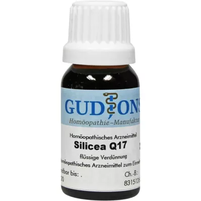 SILICEA Q 17 solution, 15 ml