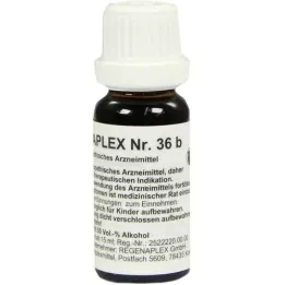 REGENAPLEX No.36 B drops, 15 ml